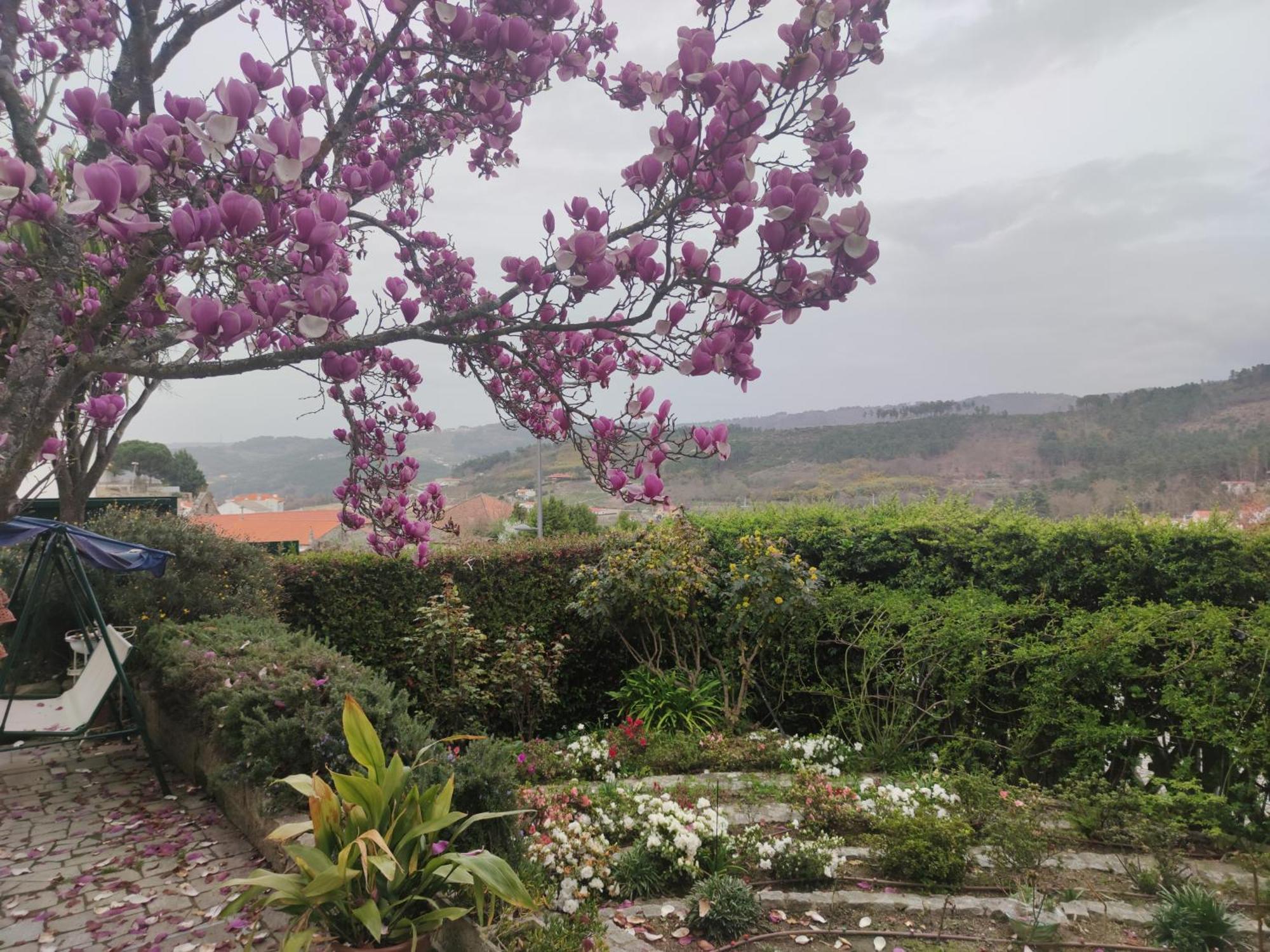 Real Santo Antonio Guest House Tarouca Exterior photo