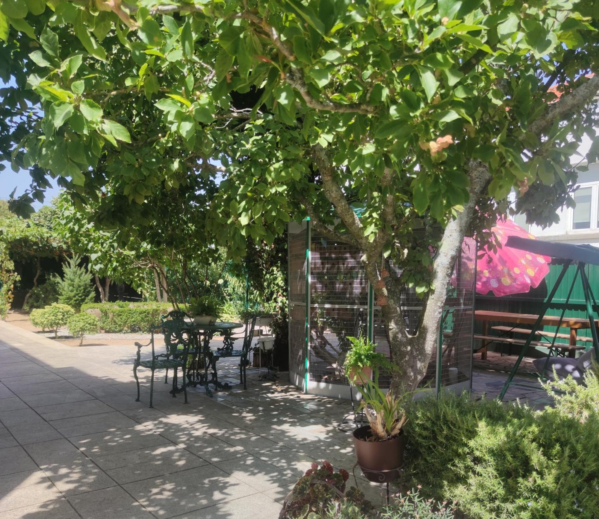 Real Santo Antonio Guest House Tarouca Exterior photo